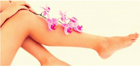 Legs with no varicose veins